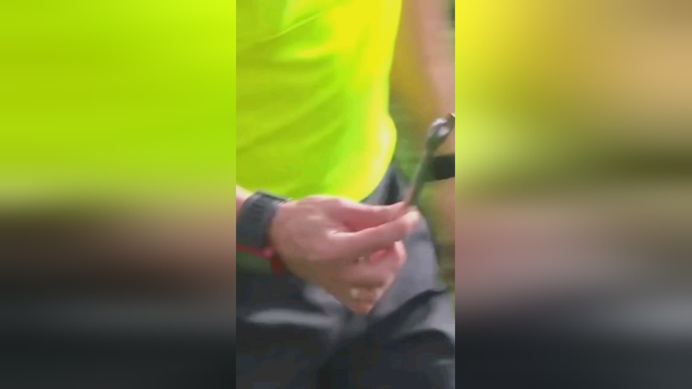 们如何